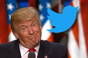 Betting on Trump on Twitter